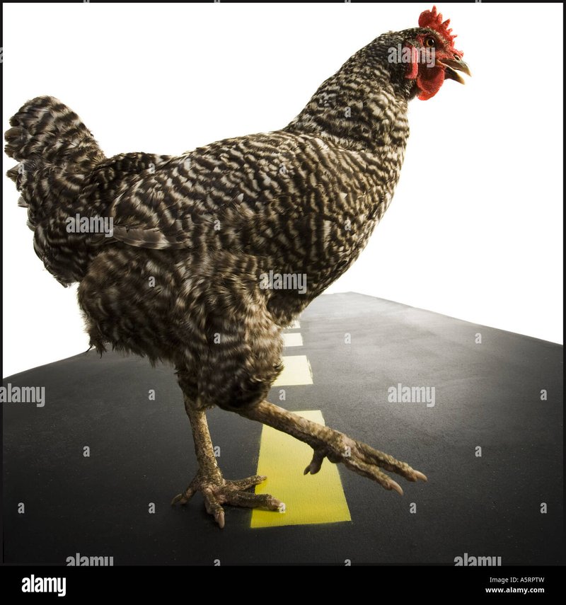 Chicken road slot - Een Onderzoek naar de Gokspel Populaire Chicken Road in Nederland